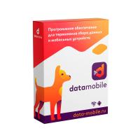 ПО DataMobile, версия Online Lite - подписка на 12 месяцев (DMOnlineLite12m)